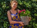 Happy joyful woman in her garden with basket of red flowers. H Royalty Free Stock Photo