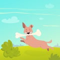 Happy jumping dog holding a big bone Royalty Free Stock Photo