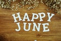Happy June alphabet letter with space copy on wooden background