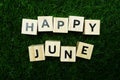Happy June alphabet letters flat lay on green grass background