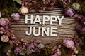 Happy June alphabet letters with flowers frame on wooden background