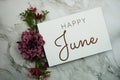 Happy June text with pink flower bouquet on marble background