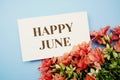 Happy June text with flower frame on blue background