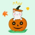 Happy kawaii kitten sitting in a halloween pumpkin. Postcard, sticker, print on t-shirt and much more. Vectonic picture