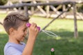 Happy kid boy blowing soap bubbles in a park