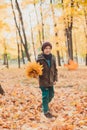 Happy kid boy walking in the Park . Autumn background.