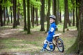 Happy kid boy of 4 years having fun in autumn or summer forest with a bicycle Royalty Free Stock Photo