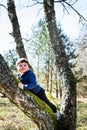 Happy kid or child lying on a bough pretends to climb a tree lying between branches with a smile and an expression of relaxation
