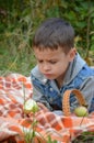 Happy kid eating fruits. happy cute child boy eating an apple. lies on a coverlet in an autumn park Royalty Free Stock Photo