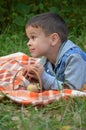 Happy kid eating fruits. happy cute child boy eating an apple. lies on a coverlet in an autumn park Royalty Free Stock Photo