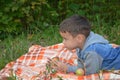 Happy kid eating fruits. happy cute child boy eating an apple. lies on a coverlet in an autumn park Royalty Free Stock Photo