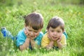 Happy kid enjoying sunny late summer and autumn day in nature on green grass. Royalty Free Stock Photo