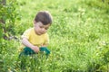 Happy kid enjoying sunny late summer and autumn day in nature on green grass. Royalty Free Stock Photo