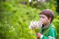 Happy kid enjoying sunny late summer and autumn day in nature on green grass. Royalty Free Stock Photo