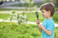 Happy kid enjoying sunny late summer and autumn day in nature on green grass. Royalty Free Stock Photo