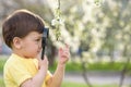 Happy kid enjoying sunny late summer and autumn day in nature on green grass. Royalty Free Stock Photo