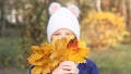 Happy kid girl in a warm knitted hat collects bouquet of yellow leaves. Autumn, walk in the park. Royalty Free Stock Photo