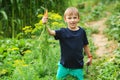 Happy kid holding bunch of carrots. Gardening. First crop of organically grown carrots. Gardening