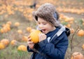 Happy kid holding pumpkin, Cute boy having fun playing outdoor in Autumn field. Smiling Child playing outside for trick or teat on Royalty Free Stock Photo