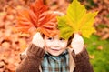 Happy kid, little boy, playing in beautiful autumn park on warm sunny fall day. Kids play with golden maple leaves. Royalty Free Stock Photo