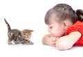Happy kid looking on playing kitten isolated Royalty Free Stock Photo