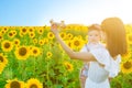 Happy kid and mother playing with toy airplane against blue summer anf field of sunflowers. Travel concept Royalty Free Stock Photo
