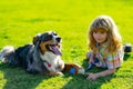 Happy kid and pet dog playing at backyard lawn. Cute child and puppy outside. Royalty Free Stock Photo