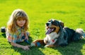 Happy kid and pet dog playing at backyard lawn. Cute child and puppy outside. Royalty Free Stock Photo