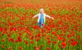 Happy kid resting on a beautiful poppy field. Child having fun outdoor. Little girl playing in field with red poppies Royalty Free Stock Photo