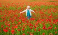 Happy kid resting on a beautiful poppy field. Child having fun outdoor. Little girl playing in field with red poppies Royalty Free Stock Photo