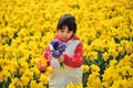 Happy kid with spring flowers on yellow daffodils field, little girl on vacation in Netherlands Royalty Free Stock Photo
