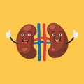 Happy kidney character