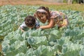 Happy kids in cabbage, field a sunny day. Royalty Free Stock Photo