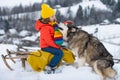 Happy kids having fun with husky dog and riding the sledge in the winter snowy forest, enjoy winter season. Winter Royalty Free Stock Photo