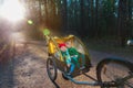 Happy kids inside bike cart, family ride at sunset Royalty Free Stock Photo