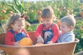 Happy kids sitting inside wheelbarrow at field pumpkin patch Royalty Free Stock Photo