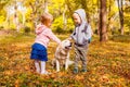 Happy kids playing and stroking their dog in autumn forest Royalty Free Stock Photo