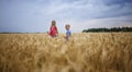 Kids running in wheat field, live life to the fullest, freedom, childhood and happiness