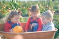 Happy kids sitting inside wheelbarrow at field pumpkin patch Royalty Free Stock Photo