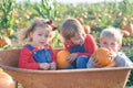 Happy kids sitting inside wheelbarrow at field pumpkin patch Royalty Free Stock Photo