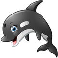 Happy killer whale cartoon Royalty Free Stock Photo