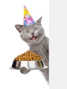 Happy kitten in birthday hat holding bowl of dry cat food and peeking from behind empty board. isolated on white background