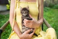 A happy kitten enjoys being petted by a woman's hand. A beautiful little kitten sits in the arms of a girl in a yelow dress