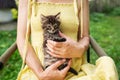 A happy kitten enjoys being petted by a woman's hand. A beautiful little kitten sits in the arms of a girl in a yellow dress