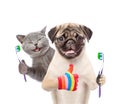 Happy kitten and pug puppy holding a toothbrushes and showing thumbs up. isolated on white background