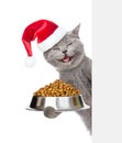 Happy kitten in red christmas hat holding bowl of dry cat food and peeking from behind empty board. isolated on white background