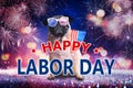 Happy Labor Day. Cute dog with sunglasses and American flag on festive background with fireworks and glitters