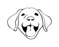 Happy Labrador poppy face in line drawing style.