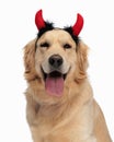 happy labrador retriever dog with devil horns headband sticking out tongue Royalty Free Stock Photo