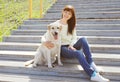 Happy labrador retriever dog and owner woman together Royalty Free Stock Photo